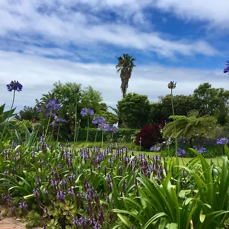 Lobo Do Mar 아파트 Ponta Garca