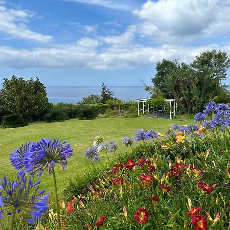 Lobo Do Mar Ponta Garca