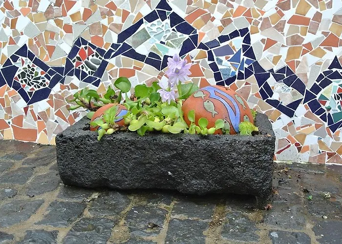 Lobo Do Mar Ponta Garca