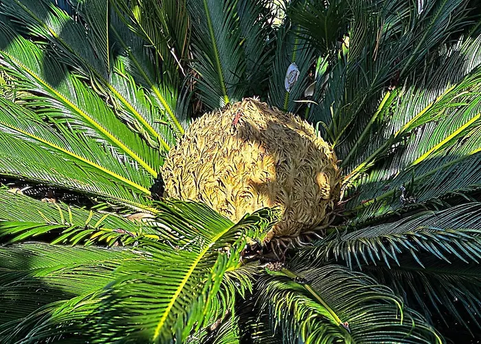 아파트 Lobo Do Mar *