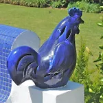 Lobo Do Mar