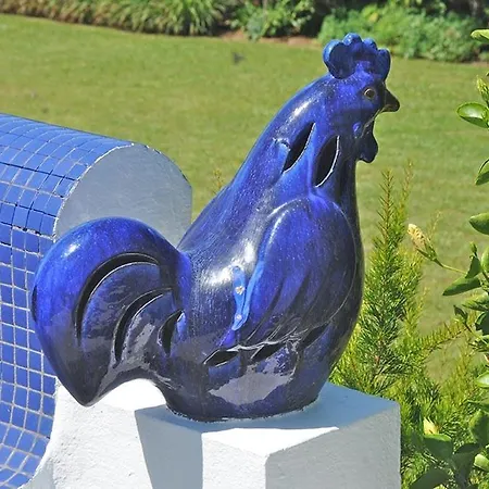 Lobo Do Mar
