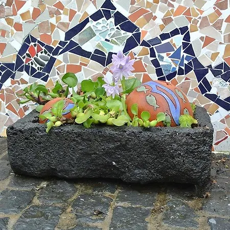 Lobo Do Mar Ponta Garca