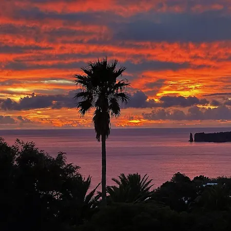 Lobo Do Mar Apartment *