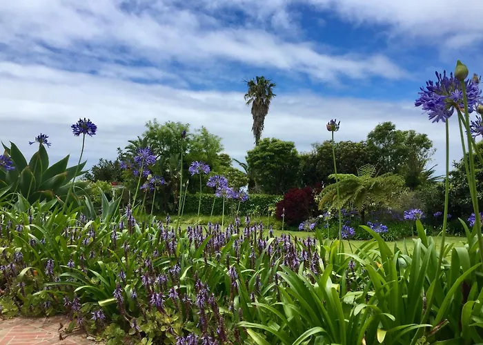 Lobo Do Mar Apartment Ponta Garca
