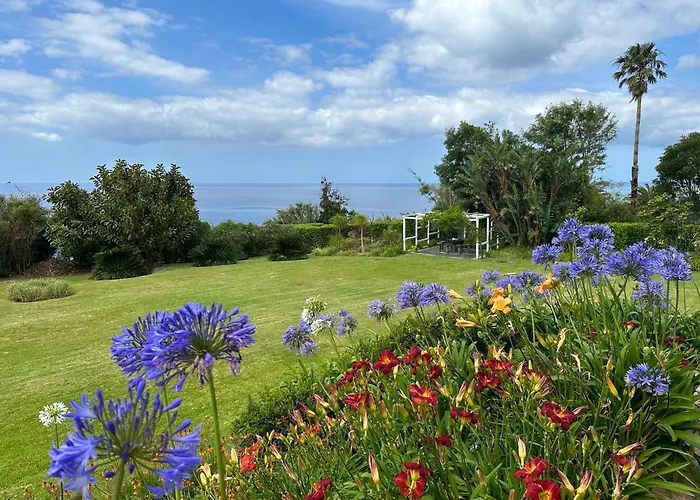 Lobo Do Mar Ponta Garca